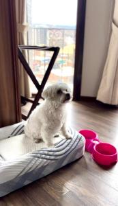 DREAM By Stannum Hotel