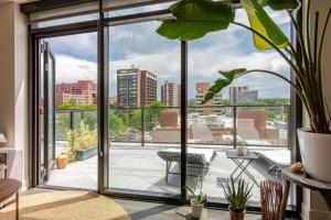 Cherry Creek Rooftop Oasis