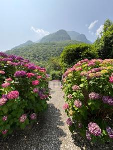 The Secret Garden of Sara