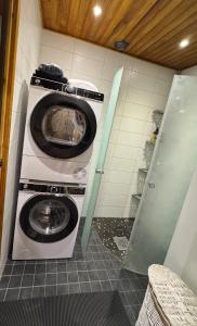 Cottage on the shore of the lake