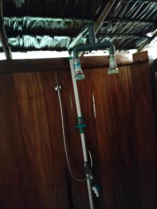 Bruno Raja Ampat Homestay