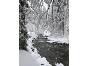 Holiday apartment with 0 bedrooms