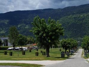 Mobile Home in Austrian Countryside