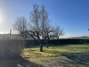 Holiday home in Neichen with barbecue