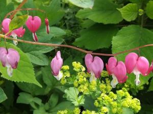 Holiday apartment with 2 bedrooms