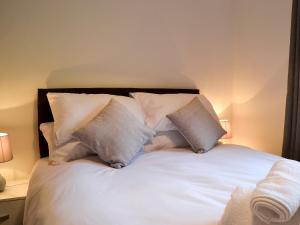 Offas Dyke Lodge - Uk10835