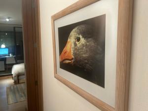 Dos Piezas para Estudiantes o Profesionales