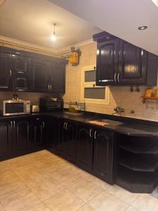 3 bedroom apartment dokki