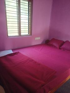 Chaithnya farm house