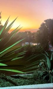 Sítio Gallo athaide