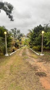 Sítio Gallo athaide