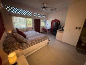 Remodeled Studios on Calle Adelita, Madera