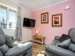 Bank Voles Nest - Uk45199