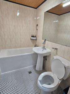 Taebaek The Palace Hotel