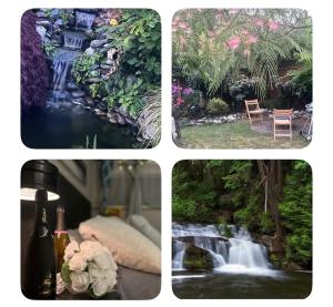 Brookside Falls Guesthouse