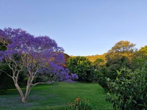 Quiet Country Retreat