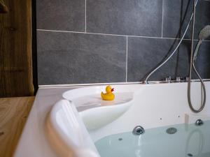 Apartment in Froidchapelle with bubble bath