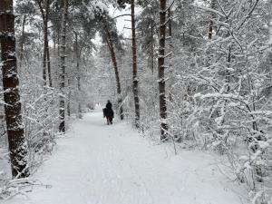 Equi Guidance Studio