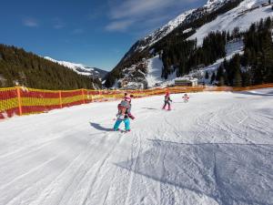 Chalet in Hochfügen near Ski Slopes