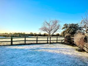 Stunning Cottage, Hot Tub, 8 MINS to CITY & Z00