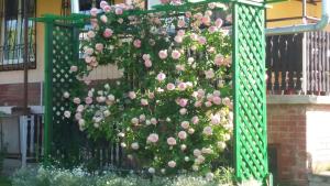 Kútvölgy Vendégház