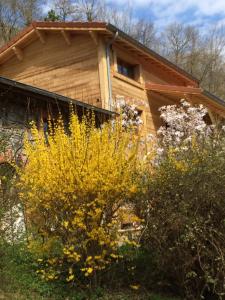 Pension Les Sittelles de Bamboche Saint-Symphorien-sur-Coise Frankreich