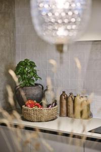 Romantisches Ferienhaus inmitten des mittelalterlischen Groznjan