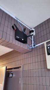 Sunny Haven in Tokyo