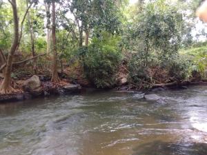 ANGAMMEDILLA resort