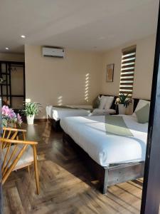 Catba Garden Camellia