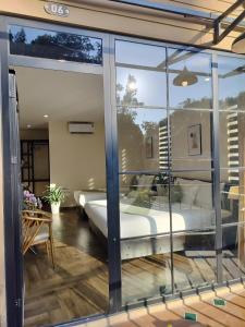 Catba Garden Camellia