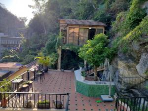 Catba Garden Camellia