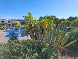 Beautiful apartment with heated pool in winter