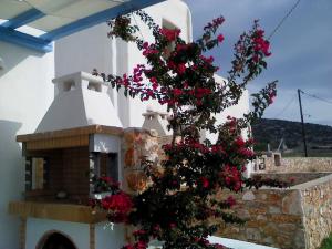 S & K Maisonnettes Paros Greece