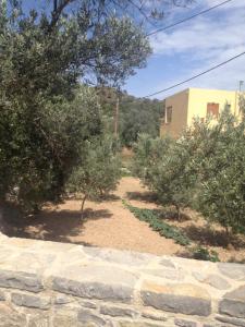 Kostas Volissos-residence