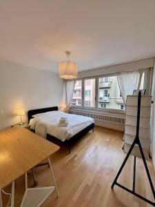 Simple & Comfy Apartment on Gartenstrasse