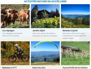Charmant Appartement ensoleillé Massif des Bauges
