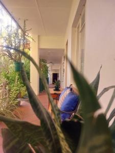 Blommenberg Guest House