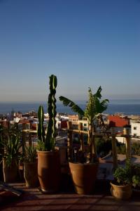 Berber Waves Surf House