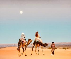 Hotel Camping Les Roses Des Dunes & Piscine