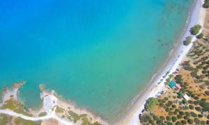 Plaisir Beachside Apts