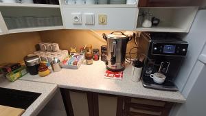 Pension 444 - Ski Resort Herlikovice and Bubakov