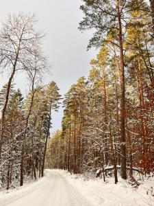 I - Apartament na Warmi dla rodzin z dziećmi
