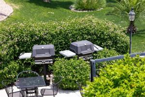 119 Fully Furnished 1BR Suite-Outdoor Pool