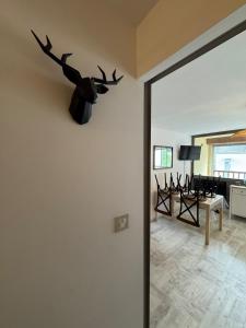 T2 Hypercentre Pic Long - Saint Lary