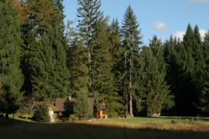 Fikfak cottage 