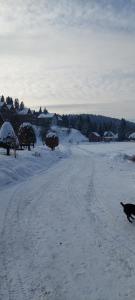 Domek przy Młynie Koło Wodne