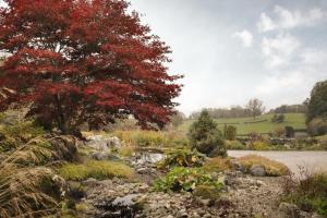 The Lookout - Ridgestone