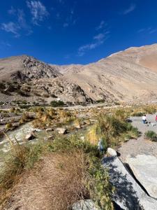 VALLE DEL ELQUI,Diaguitas, Vicuña