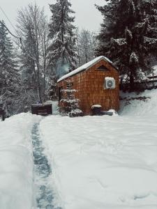 TogetherNest - Cedar